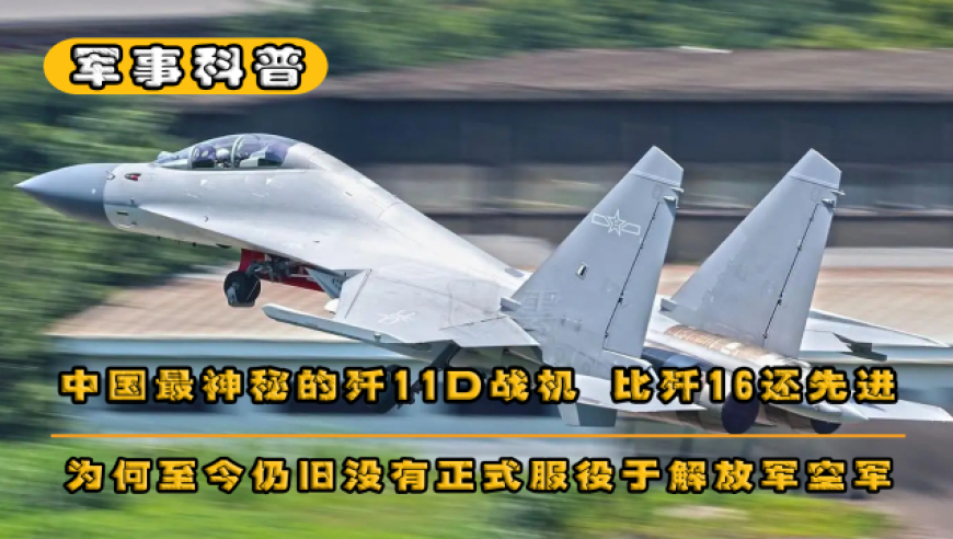 殲10、殲11、殲15、殲16，哪個(gè)更先進(jìn)？深度解析中國(guó)戰(zhàn)斗機(jī)的進(jìn)化歷程，中國(guó)戰(zhàn)斗機(jī)進(jìn)化歷程深度解析，殲10、殲11、殲15、殲16，誰(shuí)領(lǐng)風(fēng)騷？