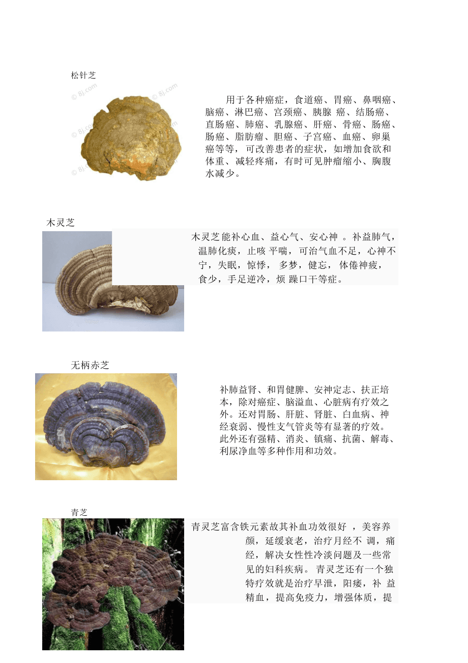 靈芝，功效、作用及食用方法，靈芝，功效、作用與食用指南