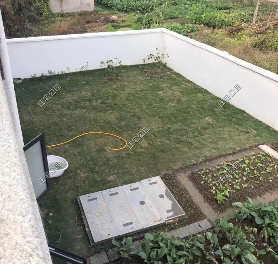 一肖中2碼，揭秘彩票背后的秘密與策略，揭秘彩票背后的策略與秘密，一肖中兩碼解析