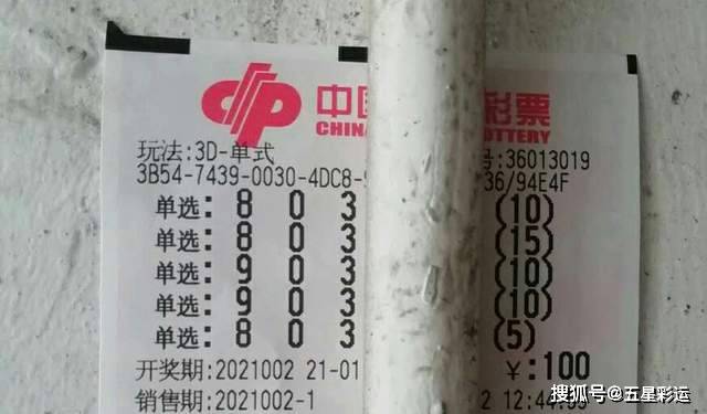 揭秘王中王平特一肖，背后的故事與奧秘，揭秘王中王平特一肖背后的故事與奧秘探秘