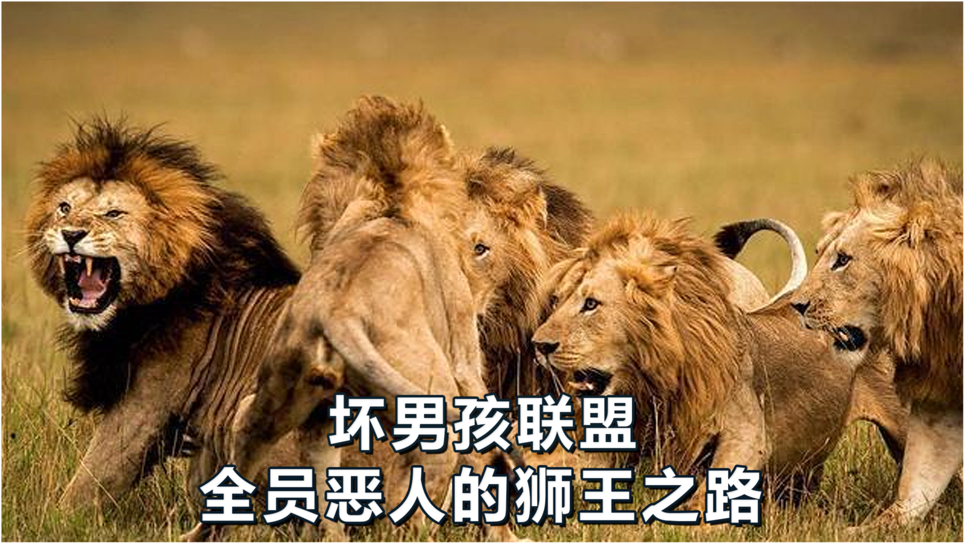 王中王必中一肖四不像圖——深度解析與探索，王中王必中一肖四不像圖深度解析與探索揭秘