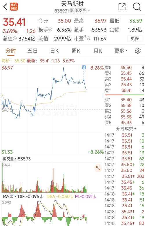 天馬微電子股票，投資前景深度解析，天馬微電子股票投資前景深度解析