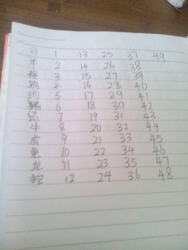2025十二生肖與49碼表對(duì)照解析，十二生肖與49碼表對(duì)照解析 預(yù)測(cè)未來(lái)走向