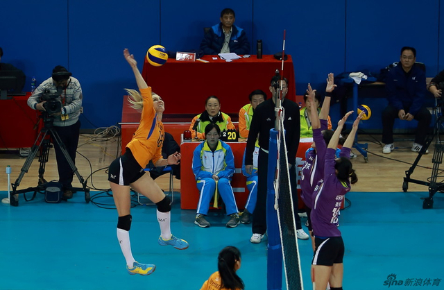 王中王三肖選一肖，深度解析與SEO策略，王中王三肖選一肖，深度解析與SEO策略全攻略