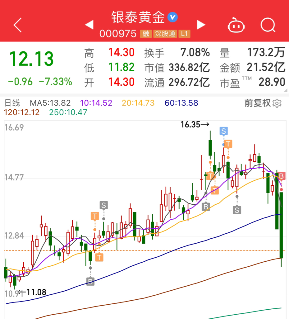 銀泰黃金股票，深度解析與投資前景展望，銀泰黃金股票深度剖析與未來投資前景展望