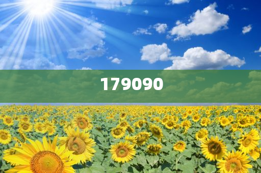 揭秘未來之星，2025新澳王中王，揭秘未來之星，2025新澳王中王風采展示