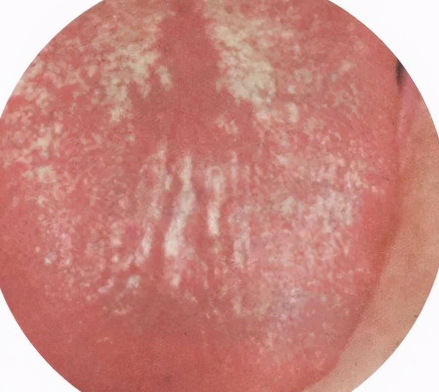 男人如何通過飲食實現(xiàn)延時，營養(yǎng)與時間的秘密對話，男人飲食秘籍，營養(yǎng)調(diào)控延時，時間與健康的秘密對話