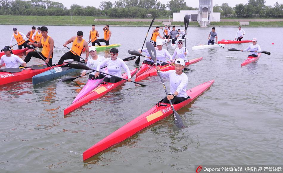 王中王一碼一肖免費(fèi)公開，揭秘精準(zhǔn)預(yù)測的秘密，揭秘王中王一碼一肖精準(zhǔn)預(yù)測的秘密，免費(fèi)公開揭秘！