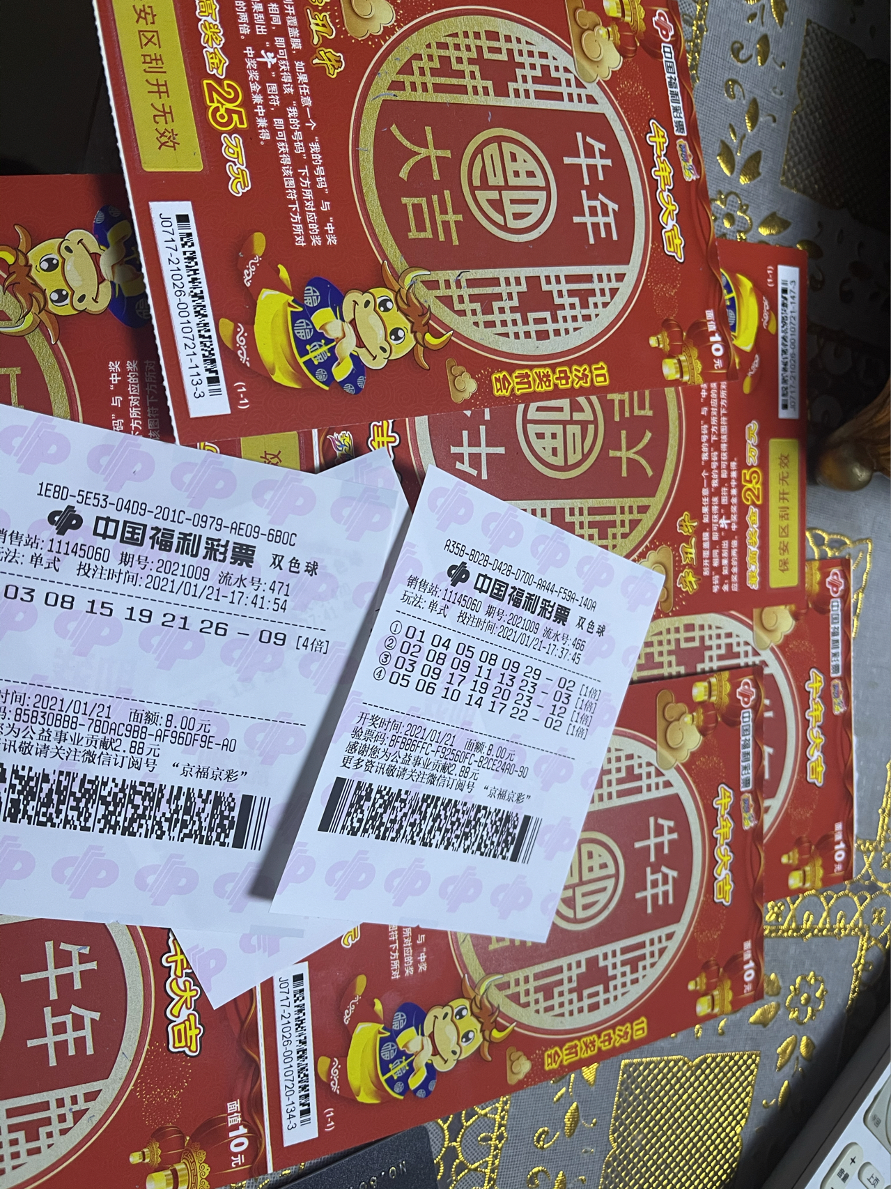 香巷平特一肖王中王，揭秘背后的秘密與SEO策略，揭秘香巷平特一肖王中王的秘密與SEO策略