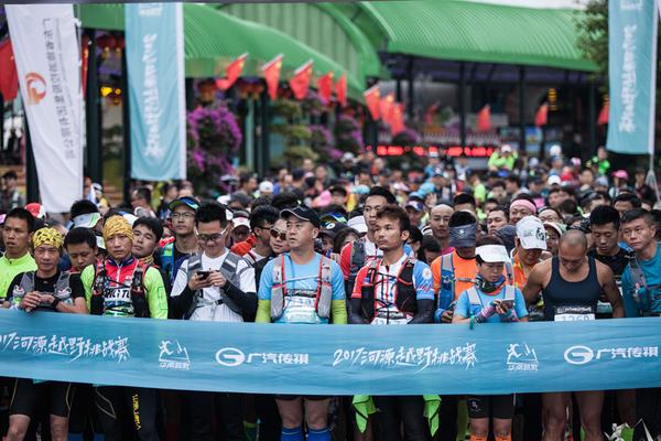 一肖平特王中王，揭秘彩票背后的秘密與策略，揭秘彩票背后的秘密與策略，一肖平特王中王之選