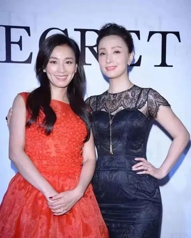 陶虹事件最新消息全面解析，陶虹事件最新動態(tài)全面解讀