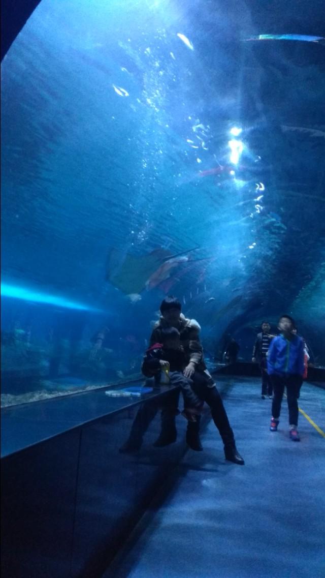 天津一日游，探索城市中的好玩地方，天津一日游，探尋城市魅力，暢游好玩之地