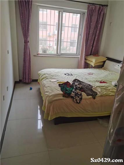 大皇王中王一肖，揭秘背后的秘密與策略，揭秘大皇王中王一肖背后的秘密與策略