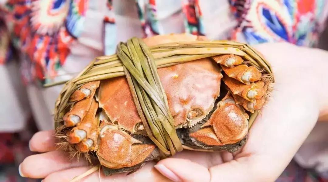 關(guān)于螃蟹死亡后能否食用的探討——聚焦24小時(shí)之內(nèi)死了的螃蟹能否食用問題，關(guān)于螃蟹死亡后能否食用的探討，聚焦螃蟹死亡24小時(shí)內(nèi)食用問題