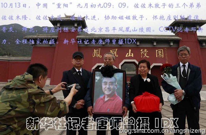 一肖出特王中王選，深度解析與SEO優(yōu)化策略，一肖出特王中王選，深度解析及SEO優(yōu)化策略全攻略