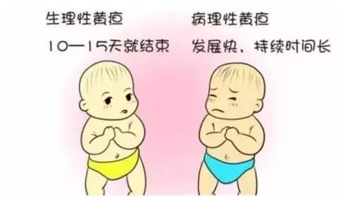 黃疸與腦癱，多高的黃疸易造成腦癱？深入了解與預(yù)防，黃疸與腦癱，如何預(yù)防黃疸過高導(dǎo)致的腦癱風(fēng)險(xiǎn)？