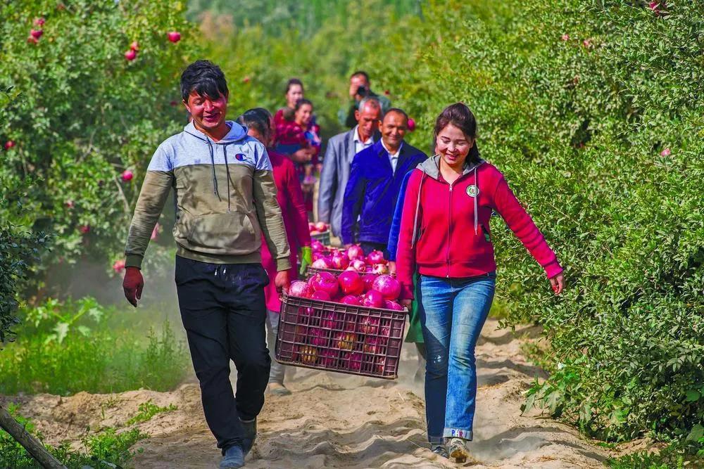 新浪澳門足球動態(tài)，賽場內(nèi)外的精彩瞬間與未來展望，新浪澳門足球動態(tài)，賽場內(nèi)外精彩瞬間與未來展望