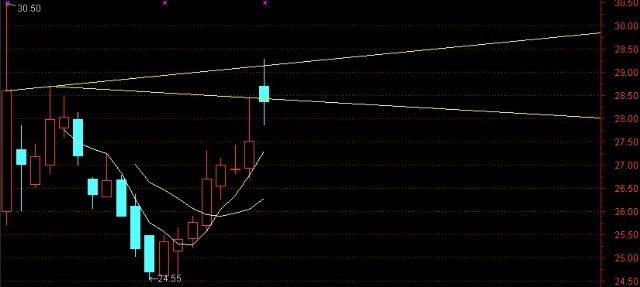 探索神秘的股市密碼，關(guān)于002554股吧的深度解析，深度解析股市密碼，揭秘002554股吧奧秘