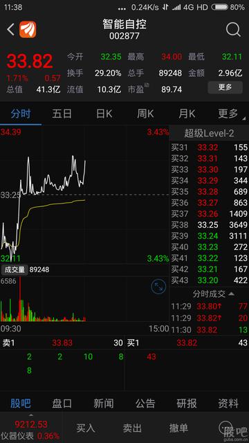 揭秘股票代碼002877，投資潛力與前景展望，揭秘股票代碼002877，投資潛力與未來前景展望