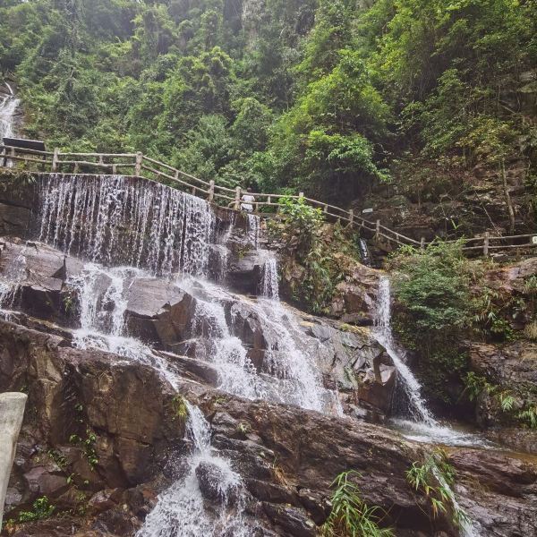 鼎湖山景區(qū)旅游攻略，探索自然之美，體驗獨特風情，鼎湖山景區(qū)旅游攻略，自然之美與獨特風情探索之旅