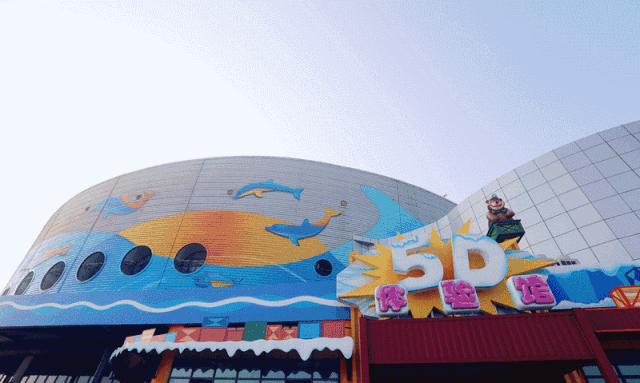 青島極地海洋館，探索神秘海洋的絕佳之地，青島極地海洋館，神秘海洋探索之旅的絕佳之地