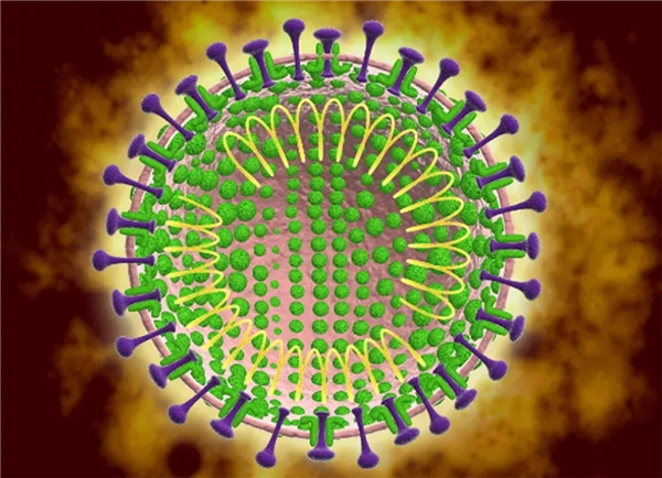 新型冠狀病毒的治療方法，科學(xué)應(yīng)對(duì)，守護(hù)健康，科學(xué)應(yīng)對(duì)新型冠狀病毒，治療方法與守護(hù)健康之道
