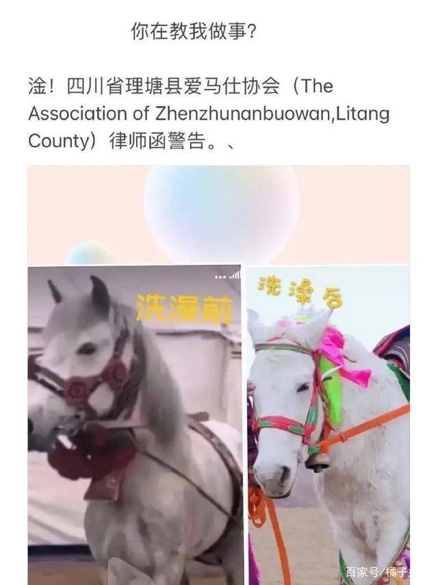 一馬爆特圖，揭秘背后的故事與SEO優(yōu)化策略，揭秘一馬爆特圖的背后故事與SEO優(yōu)化策略全攻略