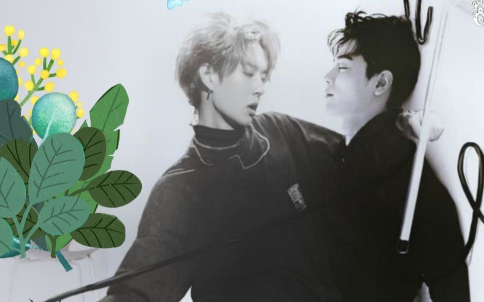 關(guān)于白小王中王一肖中特的SEO文章，王一肖SEO秘籍，白小王中王的關(guān)鍵優(yōu)化策略