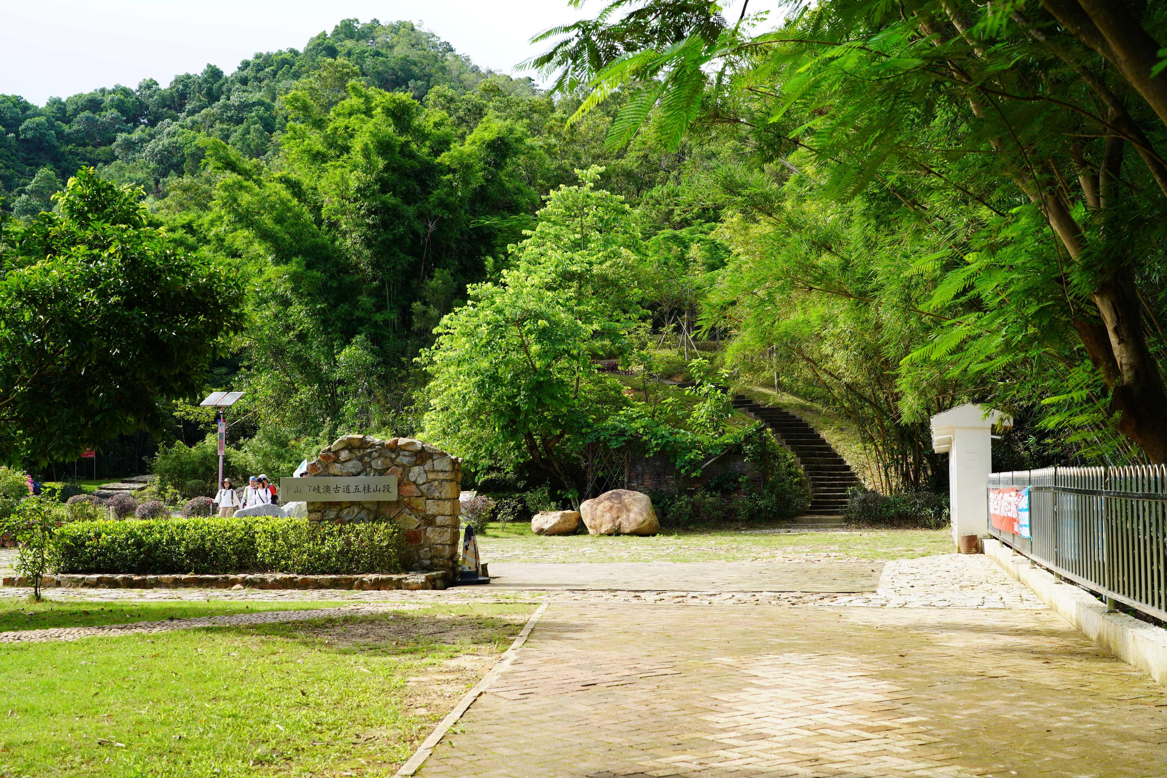 新奧門彩出號綜合走勢分析，新奧門彩出號綜合走勢解析