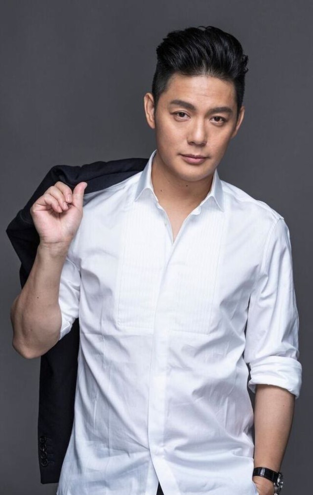 傅程鵬主演的電視劇大盤點，精彩紛呈的角色塑造與深度劇情解析，傅程鵬主演電視劇盤點，角色塑造精彩紛呈與深度劇情解析