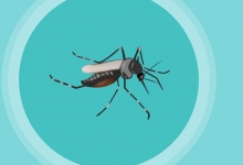 聞喜天氣預(yù)報(bào)——掌握天氣動(dòng)態(tài)，安排生活出行，聞喜天氣預(yù)報(bào)，精準(zhǔn)掌握天氣動(dòng)態(tài)，合理安排生活出行計(jì)劃