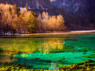 九寨溝風(fēng)景圖片大全集，自然之美的視覺(jué)盛宴，九寨溝自然美景盡收眼底，風(fēng)景圖片大全集視覺(jué)盛宴