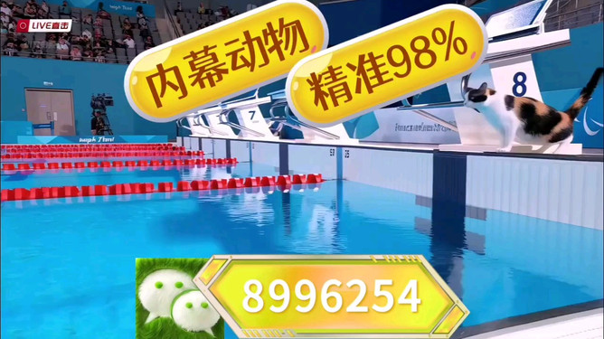 王中王493333中特馬開獎結(jié)果號碼——揭秘與解析彩票背后的秘密，揭秘王中王493333彩票背后的秘密，特馬開獎結(jié)果號碼解析