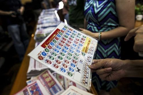 王中王的一肖中特馬——探尋背后的奧秘與魅力，王中王一肖特馬背后的奧秘與魅力探尋