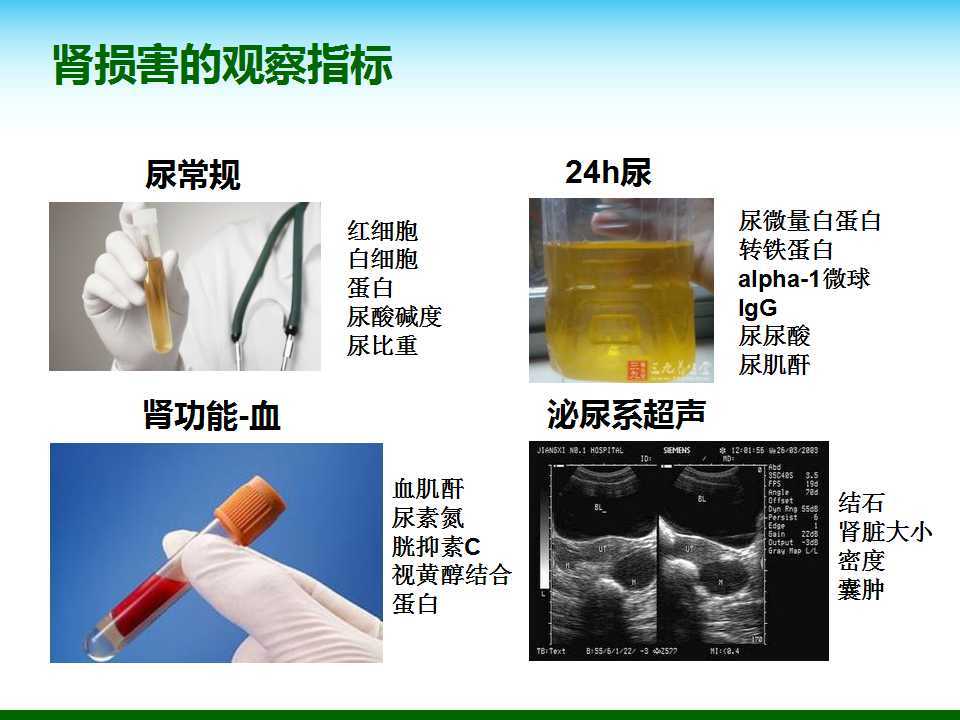尿酸水平升高與腎臟健康，尿酸460是否意味著腎臟已經(jīng)受損？，尿酸水平升高與腎臟健康關(guān)系解析，尿酸460是否預(yù)示腎臟受損？