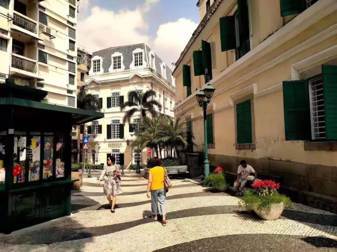 澳門(mén)二肖，探索與揭秘，澳門(mén)二肖，探索之旅與神秘揭秘