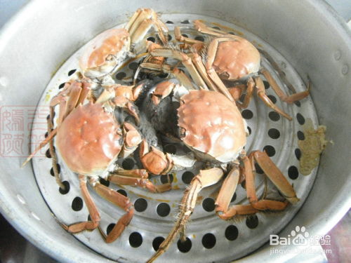 探索海鮮美味，正確的蒸螃蟹方法，探索海鮮美味之旅，正確蒸螃蟹的方法分享