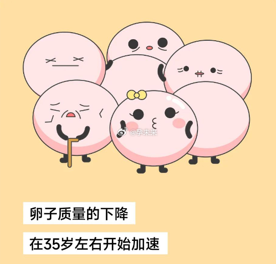 女性卵子質(zhì)量差的表現(xiàn)及其影響，女性卵子質(zhì)量差的表現(xiàn)及其后果