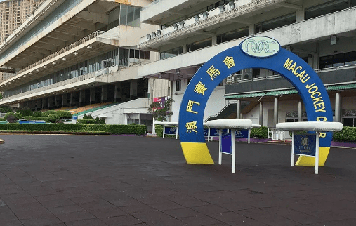 新澳門一肖一馬一特一中，探索與解析，澳門新玩法探索與解析，一肖一馬一特一中揭秘