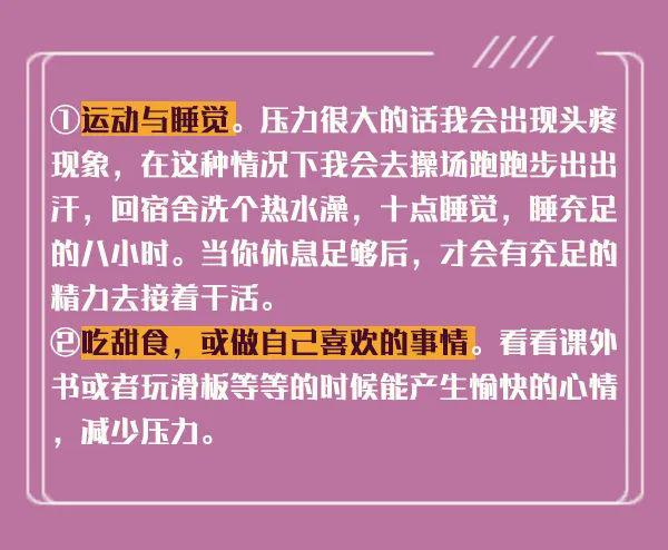 新澳內(nèi)部猛料揭秘，深度探索與獨(dú)特洞察，新澳內(nèi)部揭秘，深度探索與獨(dú)特洞察之旅