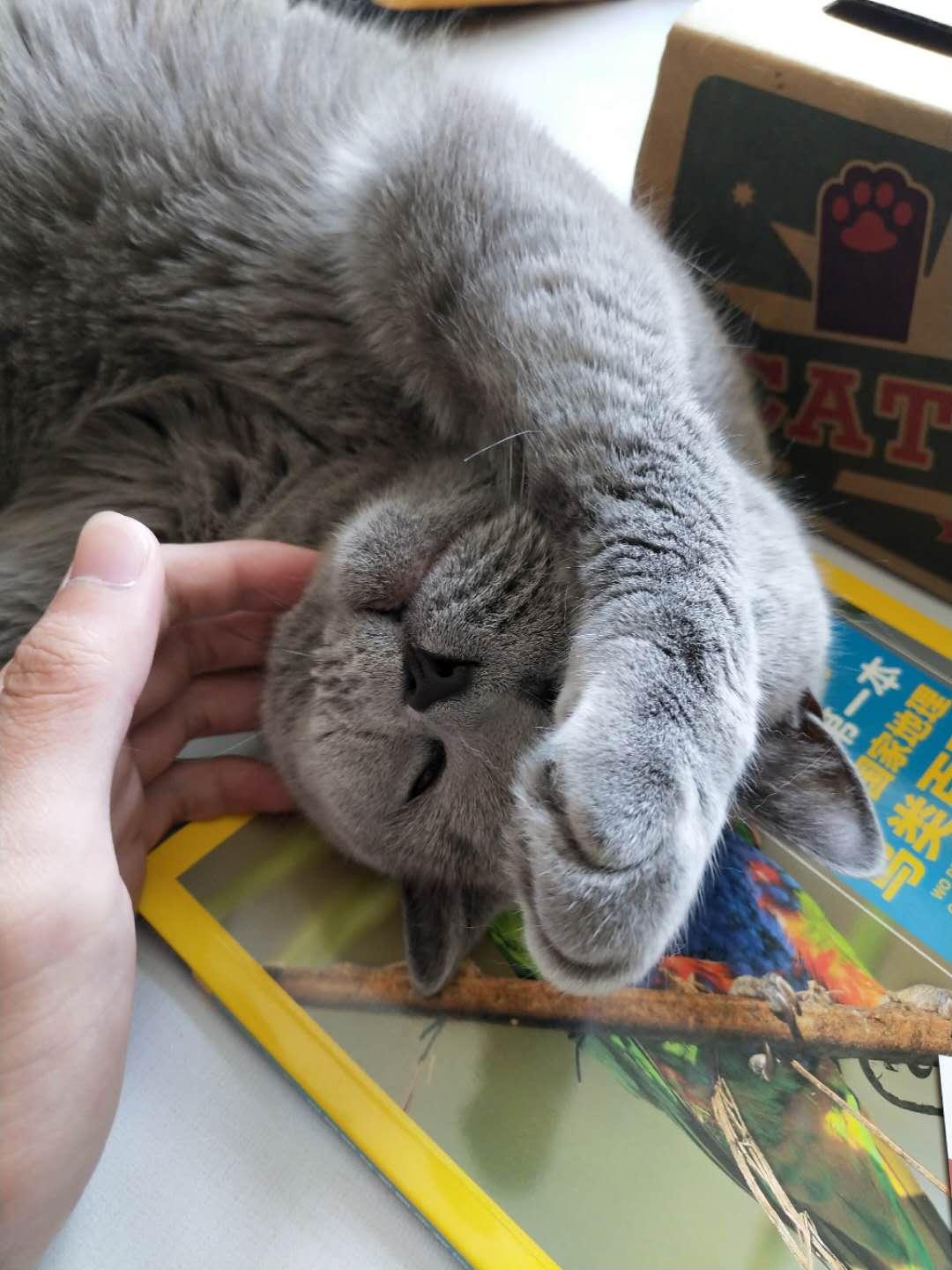 解決打呼嚕只需一杯水？真相揭秘與實(shí)用建議，解決打呼嚕只需一杯水？真相揭秘與實(shí)用方法總結(jié)