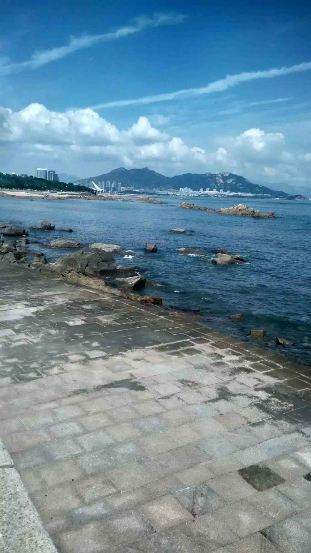 青島極地海洋世界門票免費(fèi)嗎？——深度解析與攻略，青島極地海洋世界門票免費(fèi)政策解析及游玩攻略