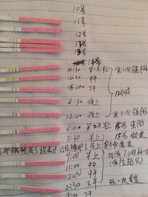 早孕試紙，了解、使用與優(yōu)化搜索體驗，早孕試紙，使用指南與優(yōu)化搜索體驗