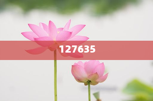 探索全新精準(zhǔn)傳真服務(wù)，7777788888新精準(zhǔn)傳真解析，全新精準(zhǔn)傳真服務(wù)解析，7777788888傳真新體驗(yàn)