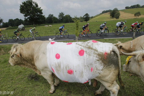 王中王三肖一碼免費公開，揭秘背后的秘密與真相，揭秘王中王三肖一碼，真相與背后的秘密免費公開揭露