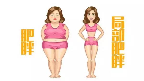 抽全身脂肪的價(jià)格因素與全面解析，全身脂肪抽取價(jià)格因素解析及全面解讀