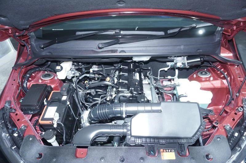 揭秘2021王中王資料一肖，全方位解讀，洞悉其獨(dú)特魅力，揭秘2021王中王資料一肖，全方位解讀獨(dú)特魅力，洞悉真相