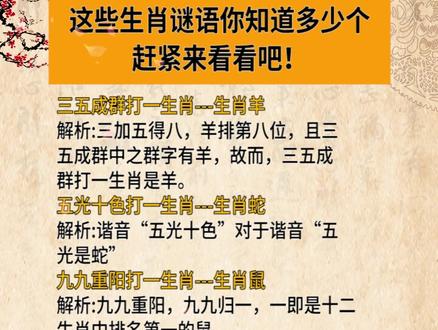 謎語王中王打一生肖——揭秘背后的神秘故事與生肖之謎，揭秘生肖之謎，謎語王中王背后的神秘故事與生肖解密