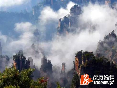 張家界旅游咨詢電話——您的旅游首選咨詢伙伴，張家界旅游咨詢電話，首選咨詢伙伴，啟程美好旅程