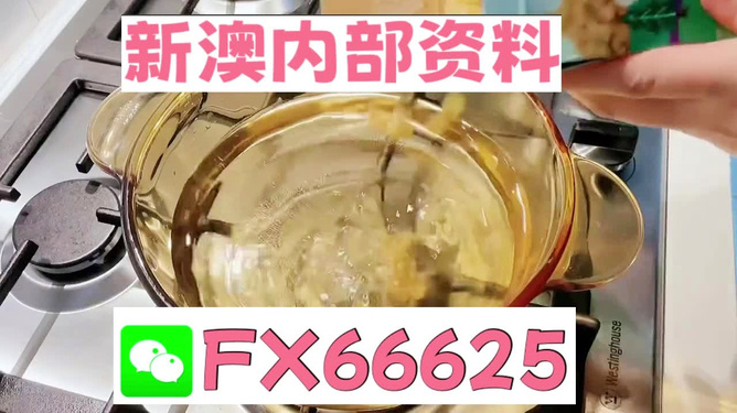 新澳一碼料，深度解析與SEO優(yōu)化策略，新澳一碼料深度解析與SEO優(yōu)化策略指南